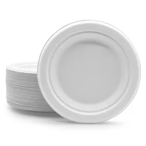 LuzhouPack Disposable Paper Plates Green Raw Material 100% Compostable 9 Inch Paper Plates 125-pack