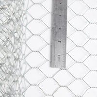 Poulailler en treillis métallique hexagonal à mailles plates, résistant aux acides/aux alcalis, PVC galvanisé, ferme avicole