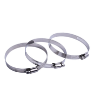 Kit de colliers de serrage à vis sans fin en acier inoxydable 304 réglable Gamme 1/4 (6-51mm) Plomberie de conduite de carburant assortie pour système métrique