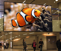 Panneau mural vidéo LED intérieur P3.91 1000x1000mm avec armoire en fer pour magasin de détail et ascenseur