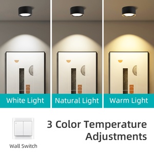 Plafonnier moderne 20W de haute qualité monté en surface en fer pour la maison, l'hôtel/Led Downlight/Downlights - Product Image 5
