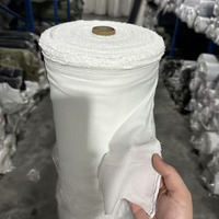 Entoilage thermocollant tissé 65GSM 100D 100% Polyester avec revêtement PA pour col de veste et manteau
