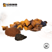 Meilleure Vente en Malaisie : Chaga LiGNO CG06 Certifié Halal et Casher, Poudre Pure Instantanée de Qualité Boisson, Mélange OEM ODM