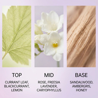 Coffrets de diffuseurs d'ambiance de luxe au parfum de lavande longue durée, flacon diffuseur à bâtonnets parfumés