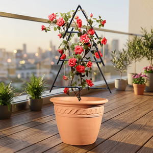 Pot de fleurs avec support en treillis métallique à motif corde pour roses grimpantes - Product Image 2