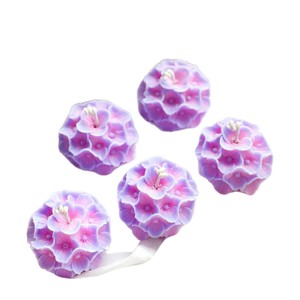 Bougies parfumées à la hortensia dégradé, best-sellers. Design exquis, idéal pour <span class=keywords><strong>les</strong></span> cadeaux <span class=keywords><strong>de</strong></span> vacances, <span class=keywords><strong>les</strong></span> cadeaux <span class=keywords><strong>de</strong></span> mariage et la vente en gros - Product Image 5