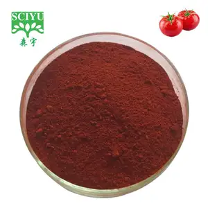 High Quality Natural Tomato Seasoning Spray Dried Tomato Extract Powder Price