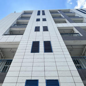 Grès flexible et résistant à l'usure personnalisable pour la <span class=keywords><strong>rénovation</strong></span> des façades de villas - Product Image 1