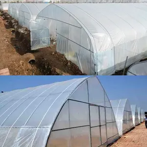 Agricultural Equipment Single-span Galvanized Steel Low Cost Tunnel Frame Single Span Film Greenhouse Serre Agricole