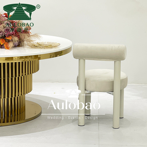 เก้าอี้ห้องจัดเลี้ยงโลหะที่ทันสมัยสำหรับใช้ในห้องรับประทานอาหารกลางแจ้งและห้องนั่งเล่น - Product Image 6