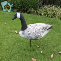 Leurre de chasse au canard en mousse EVA Canadian Goose Decory
