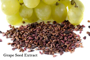 Benfeng Supply Großhandel Trauben kern Beeren extrakt Pulver Trauben kern pulver - Product Image 3