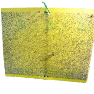 Perangkap lalat kuning perangkap hama lengket kutu buku pembunuh pemutih penjualan laris dari pabrik