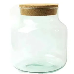 OEM Decorative Glass Bottle Jar Hydroponic Terrarium Container Glow Light LED Cork Stopper for Home Decoration