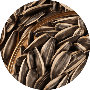 بذور عباد الشمس المحمصة بنكهة الكراميل 35 جرام، وجبة خفيفة شعبية في أكياس مخصصة - Product Image 1