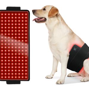 Ceinture de thérapie par lumière rouge pour le cou et le ventre des chevaux, 350 LED, 660 nm, 850 nm, dispositif pour le traitement des chevaux, usage vétérinaire - Product Image 3