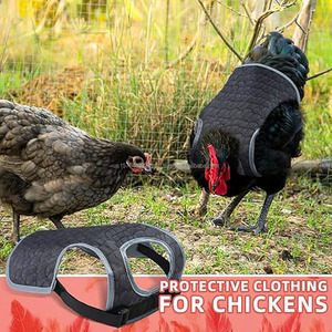 แผ่นรองหลังไก่สำหรับแม่ไก่ ผ้ากันเปื้อนป้องกันขนไก่ แผ่นป้องกันขนไก่สำหรับแม่ไก่ แผ่นรองสำหรับผสมพันธุ์ไก่ แผ่นรองหลังไก่แบบปรับได้ เสื้อกั๊กสำหรับแม่ไก่ - Product Image 6