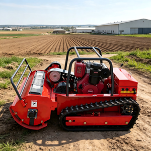 <span class=keywords><strong>Decespugliatore</strong></span>/trinciatrice professionale telecomandato per la rimozione delle erbacce e la manutenzione di zone antincendio. - Product Image 4