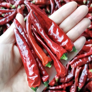 Chile Rojo Dulce Deshidratado, Pimentón en Escamas, Pimiento Crudo Conservado en Agua, Chile Triturado en Proceso de Secado al Aire, Producto Agrícola - Product Image 2