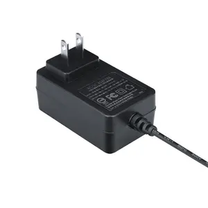 IEC 62368 BSMI FCC standard 12v 24v 1a 2a ac dc power supply adapter 24w