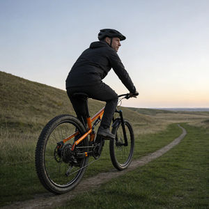 Bicicleta Eléctrica de Montaña con Certificación CE, 29 Pulgadas, Suspensión Completa, 250W, 48V, 20Ah, 960Wh, Sensor Conmutable, EMTB MG600 Pro - Product Image 4