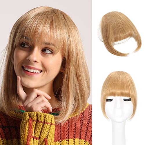 Ash Blonde(12g)
