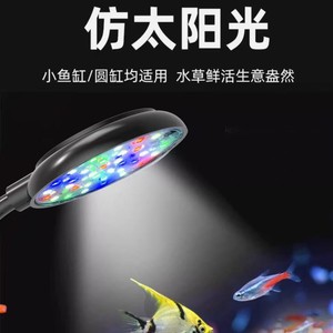 Lampada LED per Acquario Personalizzata OEM ODM, Interfaccia USB 3W, Cambio Colore e Dimmerabile, Luce WRGB per Piccoli Acquari - Product Image 2