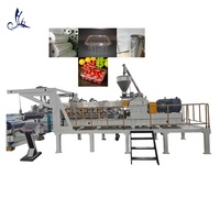 Feuille De PET Faisant La Machine En Plastique Extrudeuse Extrusion Ligne De Production