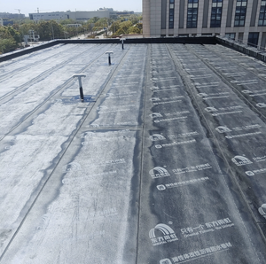 Membrana Impermeable CPE con Fórmula de Polietileno <span class=keywords><strong>Clorado</strong></span>, Lámina Flexible para Techos y Cimentaciones - Product Image 6