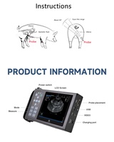 Appareil d'échographie vétérinaire portable A10 pour la détection de la gestation animale