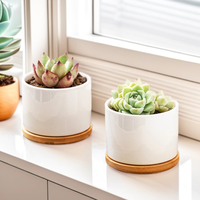 Pot Sukulen Keramik Xun Horticulture Sederhana Putih Porselen Berventilasi Grosir Logo Kustom