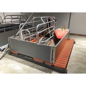 Equipo para Granjas Porcinas de Bajo Costo y Alta Calidad, Jaula de Parto para Cerdas con Piso con Comedero en Venta - Product Image 1