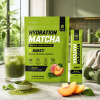WELLBODY Sports Hydration Matcha Powder Stick avec sel de l'Himalaya et eau de coco – Complément d'hydratation énergisant et rafraîchissant