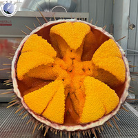 Sculpture géante personnalisée d'ormeau en fibre de verre, statue réaliste de fruits de mer pour restaurant, vitrine de magasin ou présentoir.