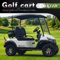 Mobil Golf Listrik 2 Kursi dengan Per Daun Baja Tugas Berat dan As Roda yang Diperkuat Bersertifikasi GCC/Eec/Dot untuk Kapasitas Muatan Tinggi