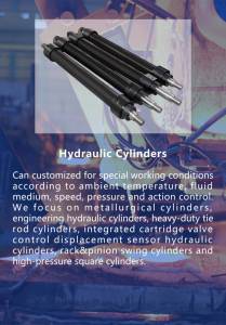 Vérin hydraulique à double effet non standard avec tige de piston chromée dure pour presses hydrauliques – Garantie 1 an - Product Image 5