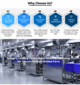 แม่พิมพ์ฉีดพลาสติก + ซิลิโคนบริการปั้นชิ้นส่วนพลาสติกแบบกำหนดเอง - Product Image 6