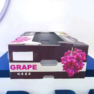 <span class=keywords><strong>Caja</strong></span> de volumen de almacenamiento de frutas y verduras plegable PP corrugado blanco de fábrica con impresión de logotipo <span class=keywords><strong>Caja</strong></span> De Plástico <span class=keywords><strong>Caja</strong></span> De envío - Product Image 5