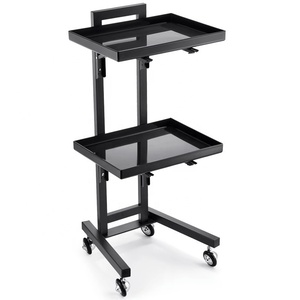 Modern Pedicure Cart Simple Golden Double Layer Salon <b>Trolley</b> Metal Beauty Salon <b>Trolley</b> with Rolling Furniture Iron Barber Cart - Product Image 1