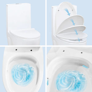 Inodoro de Una Pieza de Cerámica Blanca con Sifón Alargado de 300 mm, Diseño Nuevo 2026, Venta Caliente, Artículos Sanitarios para Baño FLL-018 - Product Image 3