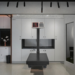 Báscula Digital Veidt de 150 kg con Pantalla LED, Indicador de Acero Inoxidable, Compatible con OEM y ODM, Tipo Eje JK-19 - Product Image 4