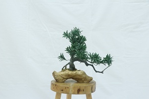 Plantes Artificielles Bonsaï Pin Artificiel pour la Maison, Plantes en Pot d'Accueil, Pin <span class=keywords><strong>Japonais</strong></span> pour Décoration de Bureau et <span class=keywords><strong>Jardin</strong></span> - Product Image 3