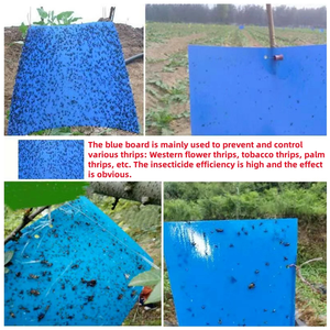 Trampa Adhesiva <span class=keywords><strong>para</strong></span> Insectos Voladores de Doble Cara <span class=keywords><strong>para</strong></span> Interiores, Exteriores, Granjas, Jardines, Invernaderos y Huertos - Product Image 2