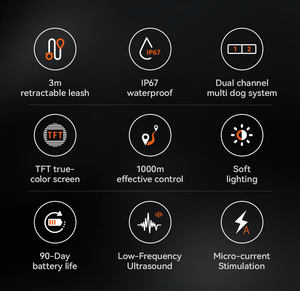 <span class=keywords><strong>Collier</strong></span> et laisse d'entraînement pour chien automatiques et manuels OEM ODM, équipement d'entraînement pour animaux <span class=keywords><strong>de</strong></span> compagnie OEM ODM - Product Image 6