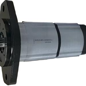 อุปกรณ์เสริมเครื่องจักร PLP20.20-04S5-L GF/GD/20.16-L ปั๊มเกียร์ 1 ฟังก์ชันจ่ายน้ำมันให้กับอุปกรณ์ยกหลักแบบยืดหดได้ - Product Image 3
