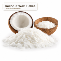 Blocs de cire de coco de qualité supérieure pour bougies de luxe en pot, bougies en conteneur et coupelles d'aromathérapie – Approvisionnement direct usine