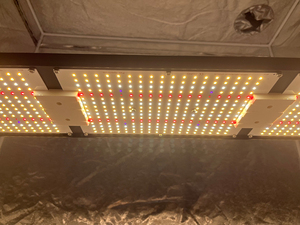Panneau lumineux LED pour culture KingBrite 320W à spectre complet UV IR, avec LED Samsung LM281B (remplace les LED LM301H) - Product Image 6