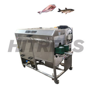 Máquina Procesadora de Pescado Portátil Pequeña para Unidad de Comida Móvil - Product Image 5