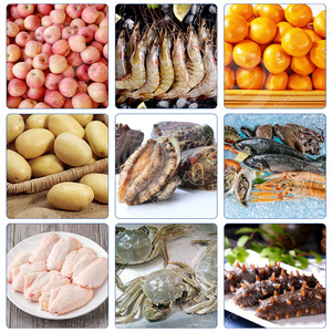 ORME Machine à trier les fruits de mer Machine à trier et à peser les écrevisses - Product Image 6