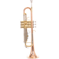 Beginner-Friendly Professional Three-Note BB Trumpet with Brass Construction in B-flat Major